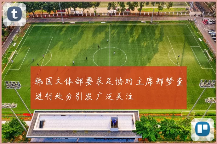 韩国文体部要求足协对主席郑梦奎进行处分引发广泛关注
